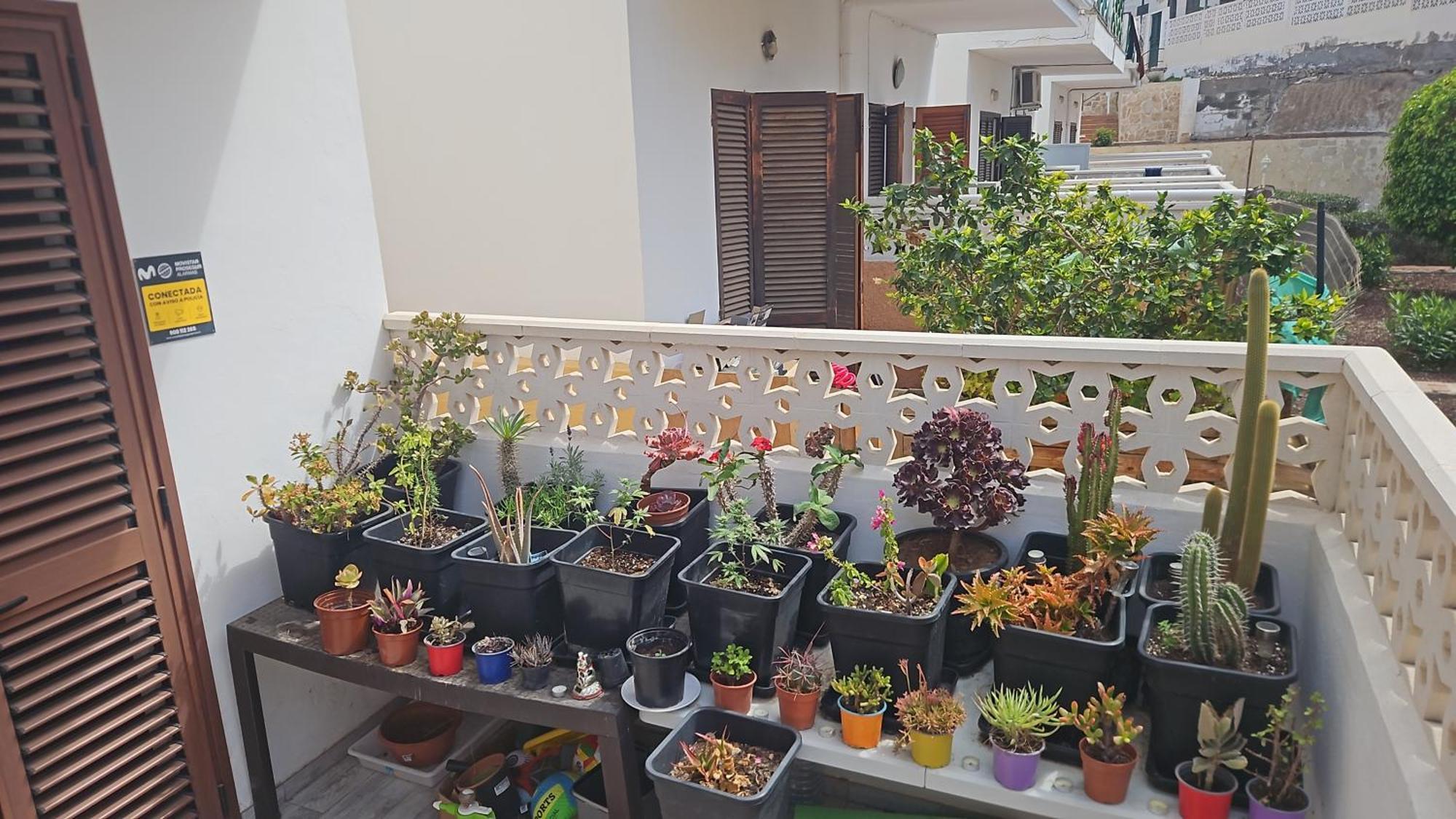 Renovated Villa In Las Americas Sea Coast 美洲海滩 客房 照片